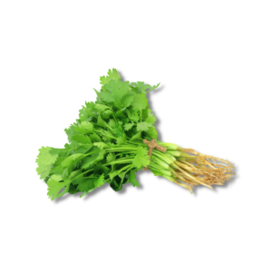 Coriander