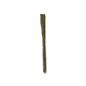 Darba Thread Long (2 pack)