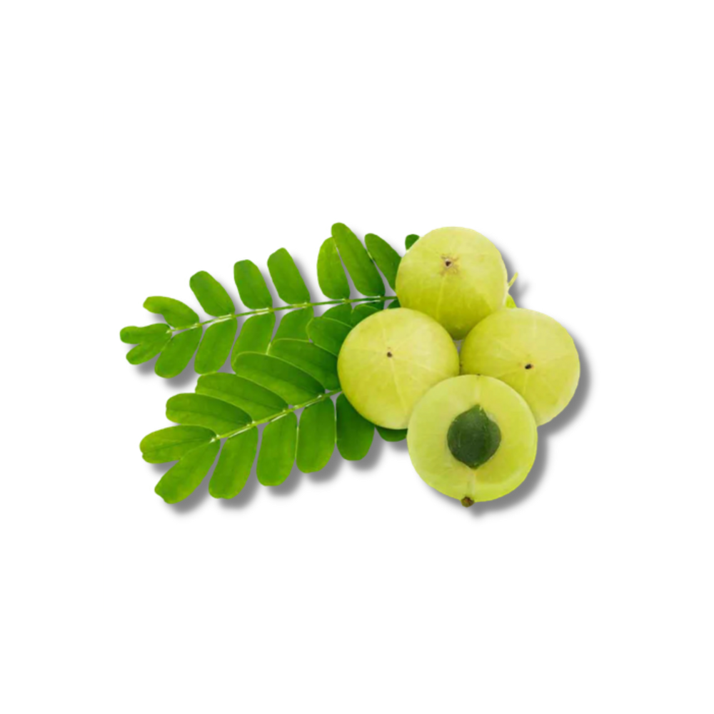 Gooseberry/Amla/Nellikkai