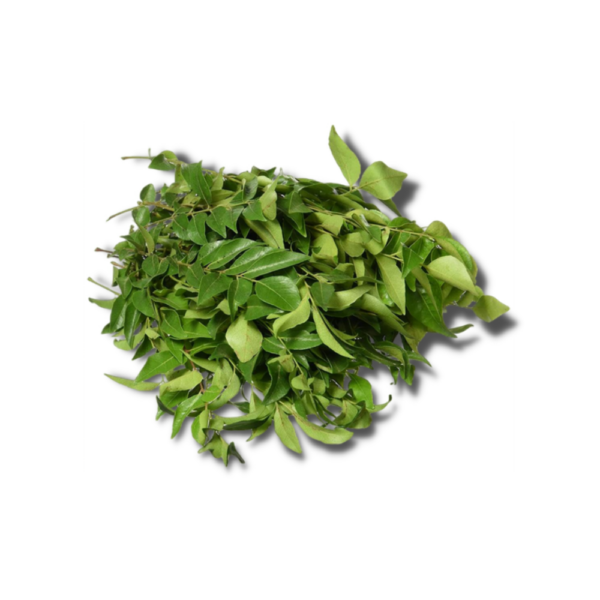 Curry Leaves Big Pack