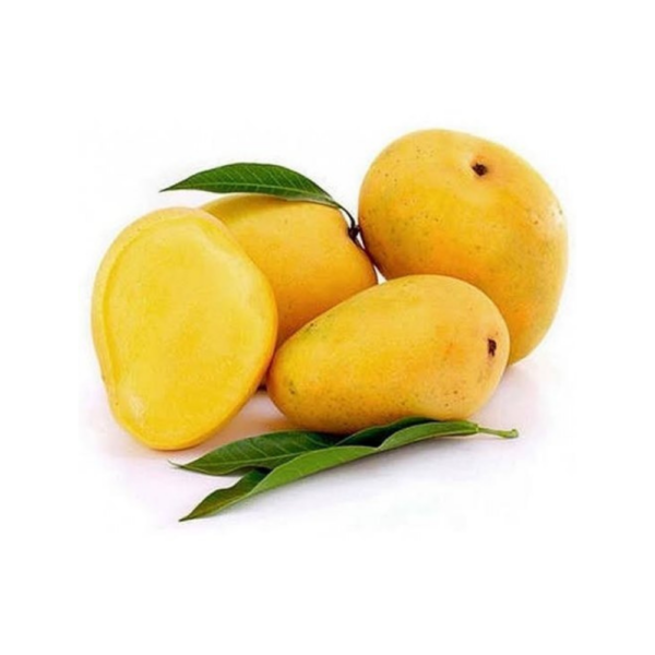 Indian Mango – Badami