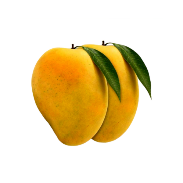 Kesar Mango