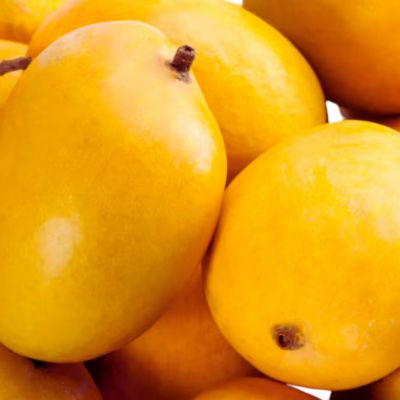 Fresh Alphonso Mangoes.