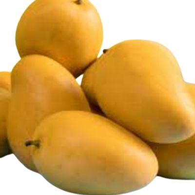 Banginapally Mangoes.