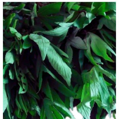 Fresh Chukka Kura / Pulicha Keerai