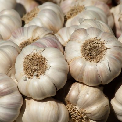 Fresh Indian garlic bulbs in 100g pack available at Spice Supermarket LTD UK