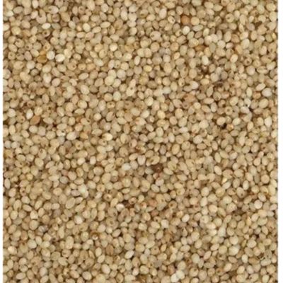 Natures Millets Samai/Little Millet 1kg pack.